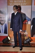 Amitabh Bachchan at Hindustan Times Mumbai_s Most Stylish 2013 awards in Mumbai on 7th Feb 2013 (15).JPG